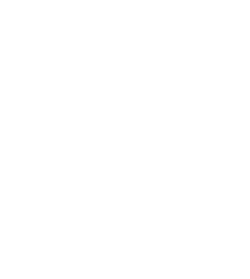 Escudo IEST